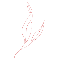 leaves_3.png